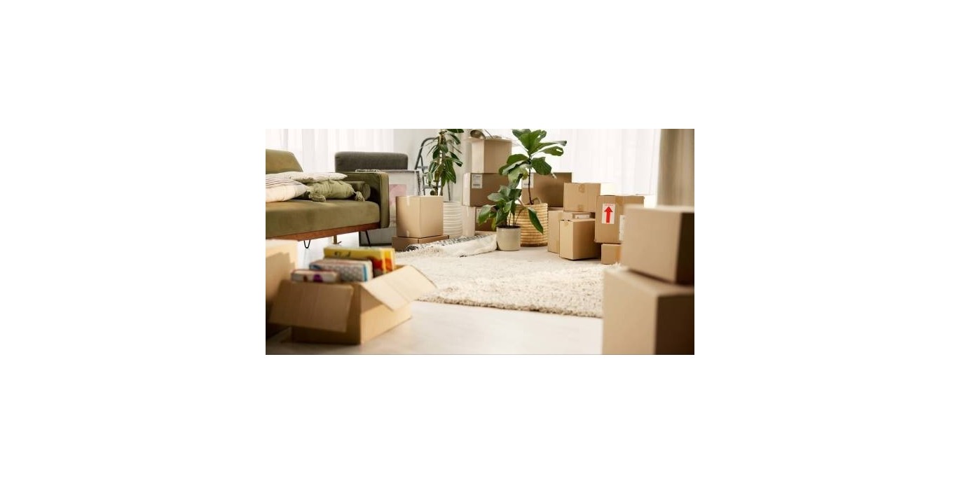 Panduan Lengkap Packing Barang Aman untuk Pengiriman